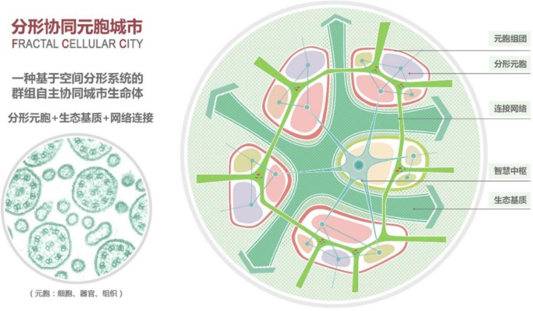 学术采撷 | 年会论文宣读：基于分形理论的穿透式城市设计导控体系研究
