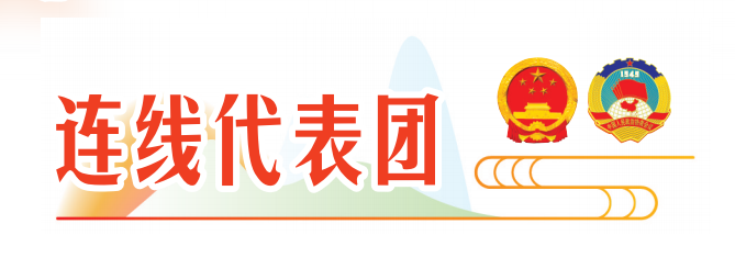 南京代表团团长韩立明:以实际行动展现省会担当真正挑起大梁 南京代表团团长韩立明:以实际行动展现省会担当真正挑起大梁
