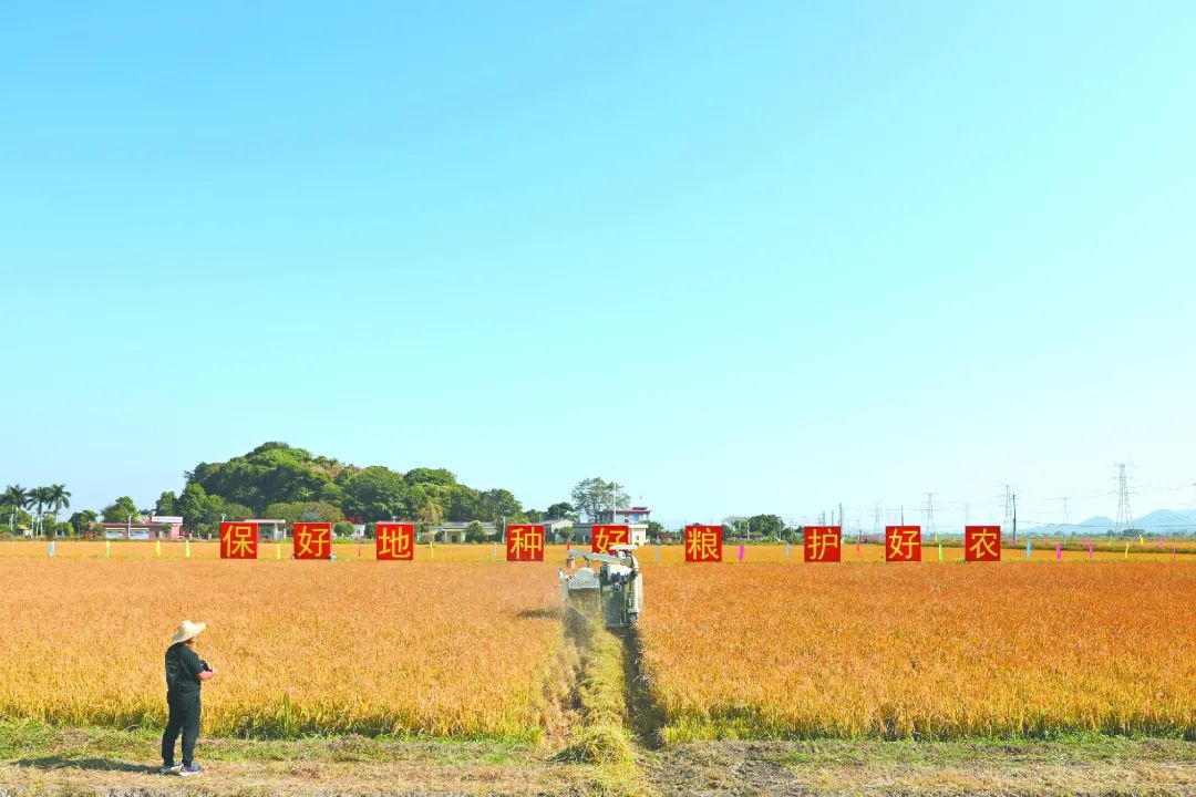 2023自然资源工作答卷之一：严守耕地红线，牢牢端稳中国饭碗