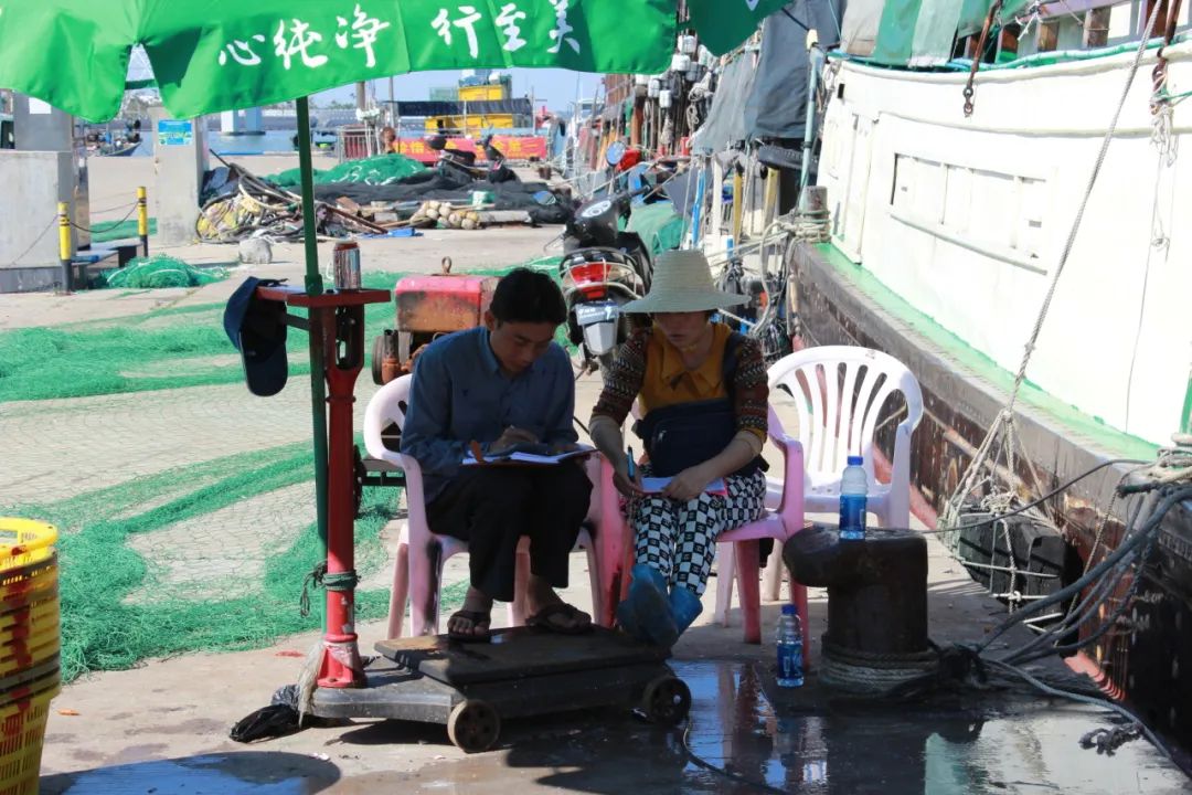 在菜市场的江湖里,找到你的“生态位” 在菜市场的江湖里,找到你的“生态位”
