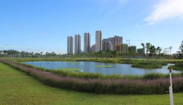 国土空间生态修复典型案例丨陆海统筹，构建海岸带保护治理新格局——广西北海2019年“蓝色海湾”整治行动项目