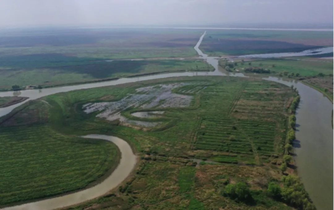 国土空间生态修复典型案例丨湖南湘江流域和洞庭湖山水林田湖草生态保护修复工程——常德市西洞庭湖国家级自然保护区生态保护修复项目 国土空间生态修复典型案例丨湖南湘江流域和洞庭湖山水林田湖草生态保护修复工程——常德市西洞庭湖国家级自然保护区生态保护修复项目