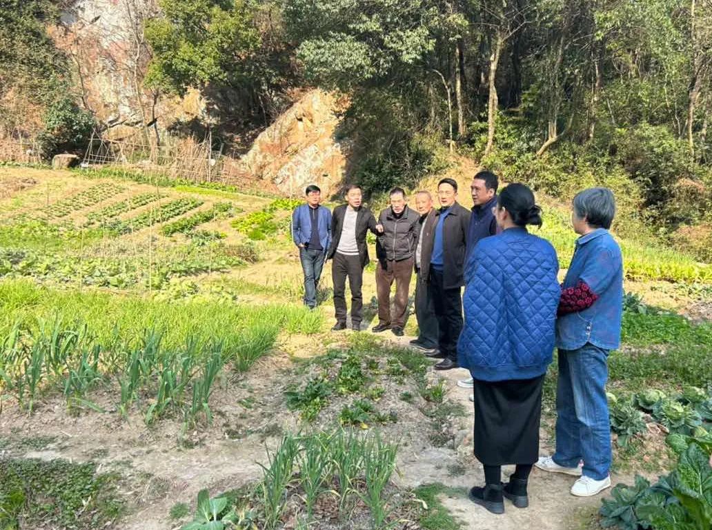 市规划资源局滨江分局高质高效完成国土变更调查工作