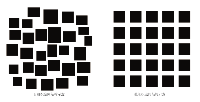 【文章精选】“基础设施主义”的新城城市设计原理:基于他组织与自组织的结构融合 | 2023年第5期 【文章精选】“基础设施主义”的新城城市设计原理:基于他组织与自组织的结构融合 | 2023年第5期