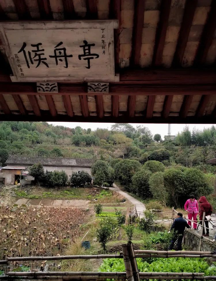 读城 | 何依:陶公山下云水谣——利民村 读城 | 何依:陶公山下云水谣——利民村