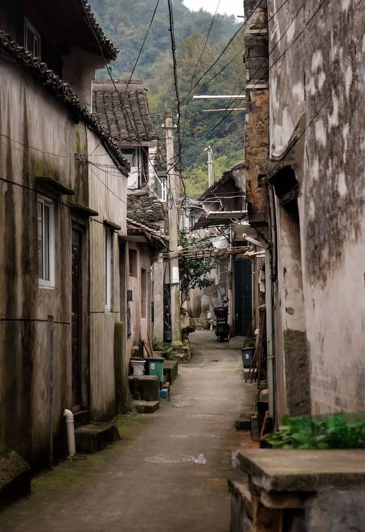 读城 | 何依:陶公山下云水谣——利民村 读城 | 何依:陶公山下云水谣——利民村