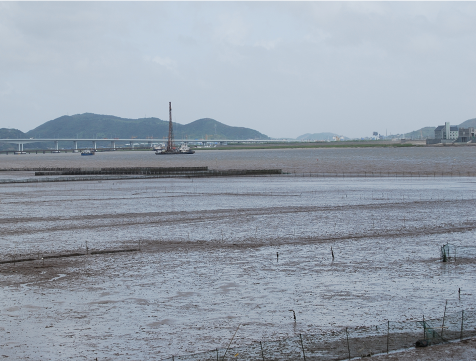 国土空间生态修复典型案例丨宁波梅山湾生态保护修复项目