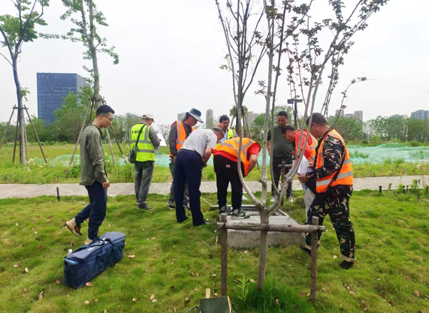 市规划资源局滨江分局获“全省城市地下市政基础设施普查工作成绩突出集体”称号