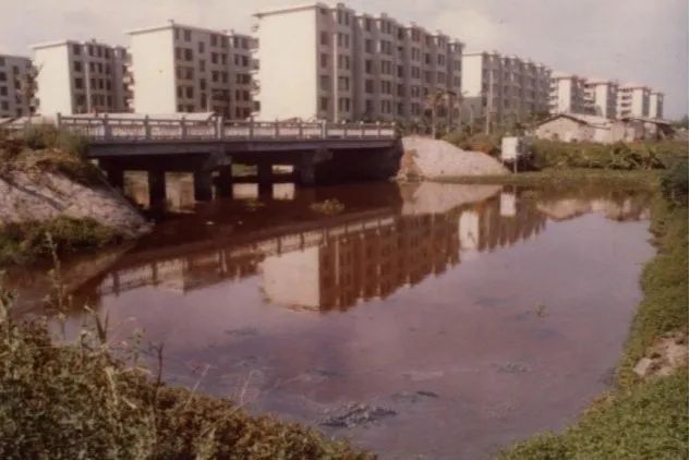 国土空间生态修复典型案例丨从一滩死湖到城市会客厅，筼筜湖生态修复激活城市生态“密码”——厦门筼筜湖生态修复项目