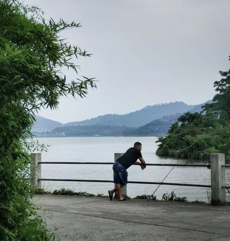 读城 | 何依:陶公山下云水谣——利民村 读城 | 何依:陶公山下云水谣——利民村