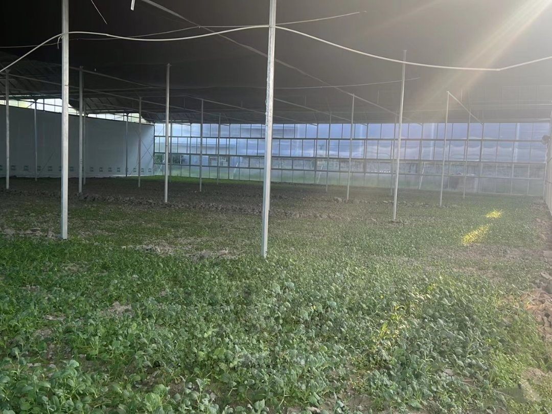 加强耕地保护 助推营商环境丨上城夯实基础打造前哨阵地