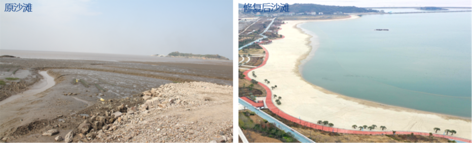 国土空间生态修复典型案例丨浙江台州白沙湾滨海湿地修复项目