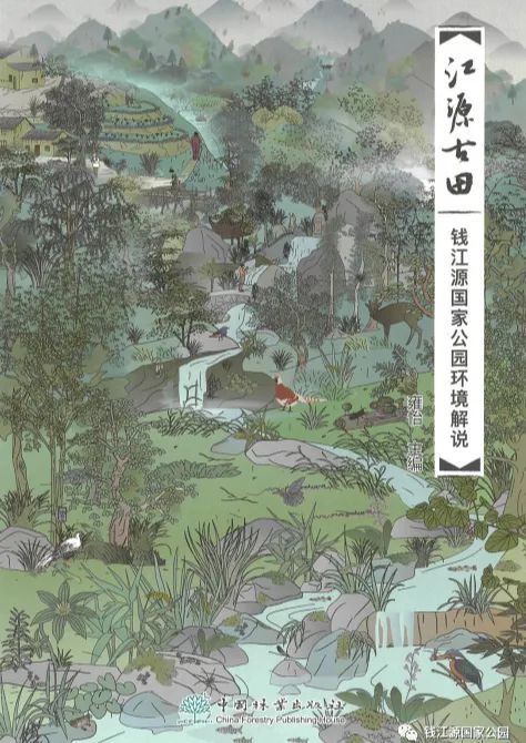 国土空间生态修复典型案例丨浙江钱塘江源头区域生态保护修复项目