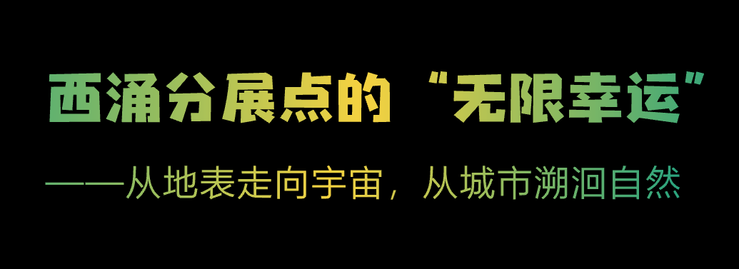 到西涌,看深圳奇迹给予的无限幸运 到西涌,看深圳奇迹给予的无限幸运