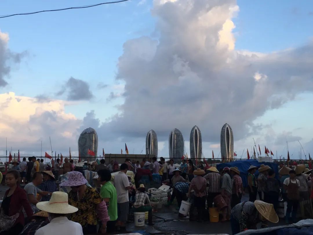 在菜市场的江湖里,找到你的“生态位” 在菜市场的江湖里,找到你的“生态位”