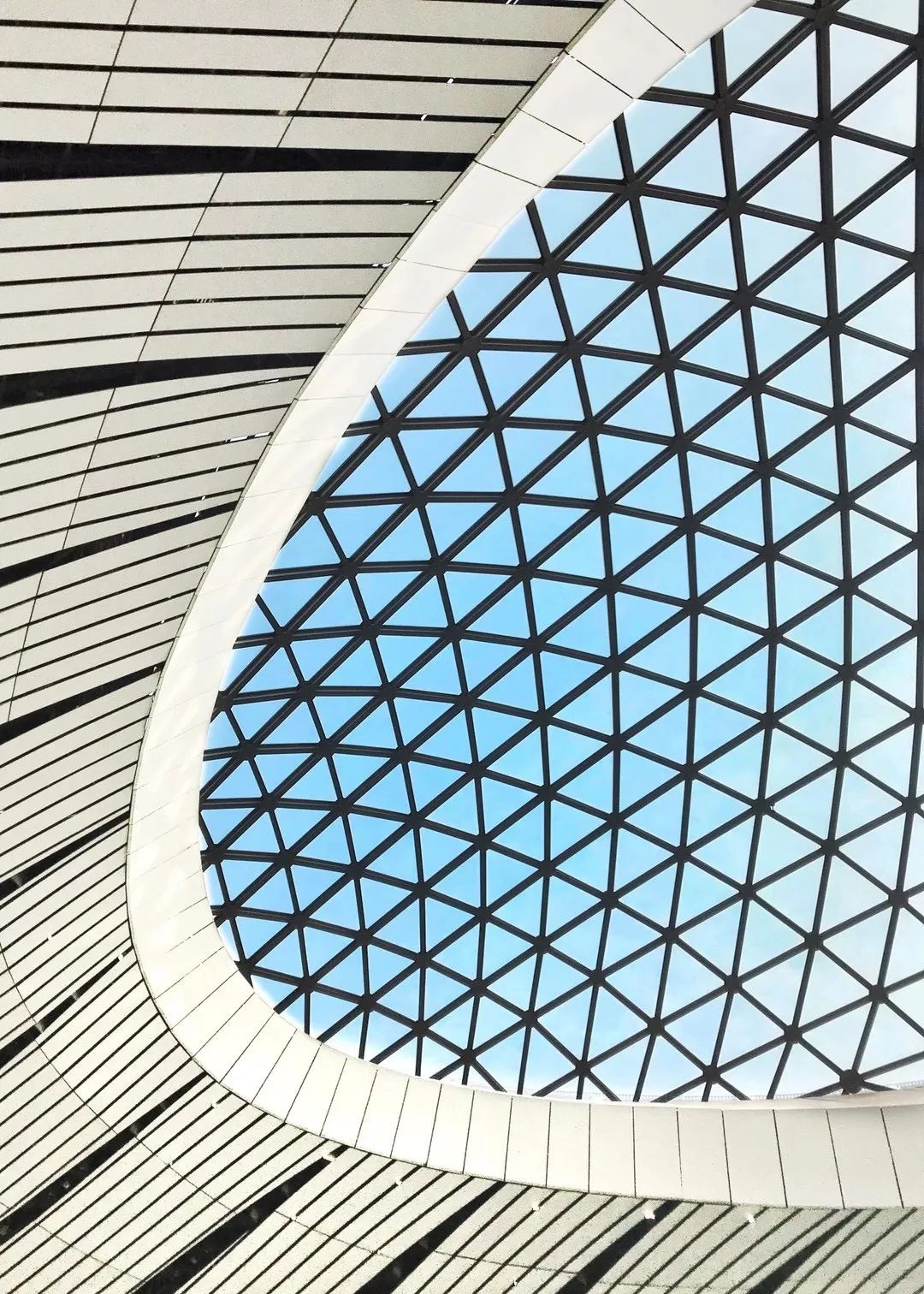 黄姗 | 网约车合乘与地铁联运出行特征识别与节油估算