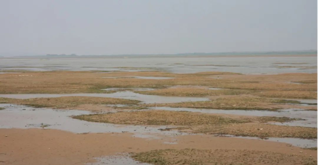 国土空间生态修复典型案例丨湖南湘江流域和洞庭湖山水林田湖草生态保护修复工程——常德市西洞庭湖国家级自然保护区生态保护修复项目 国土空间生态修复典型案例丨湖南湘江流域和洞庭湖山水林田湖草生态保护修复工程——常德市西洞庭湖国家级自然保护区生态保护修复项目