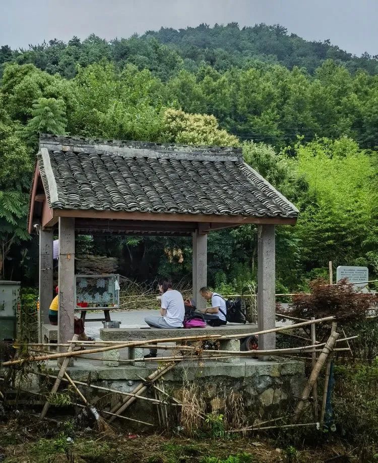 读城 | 何依:陶公山下云水谣——利民村 读城 | 何依:陶公山下云水谣——利民村