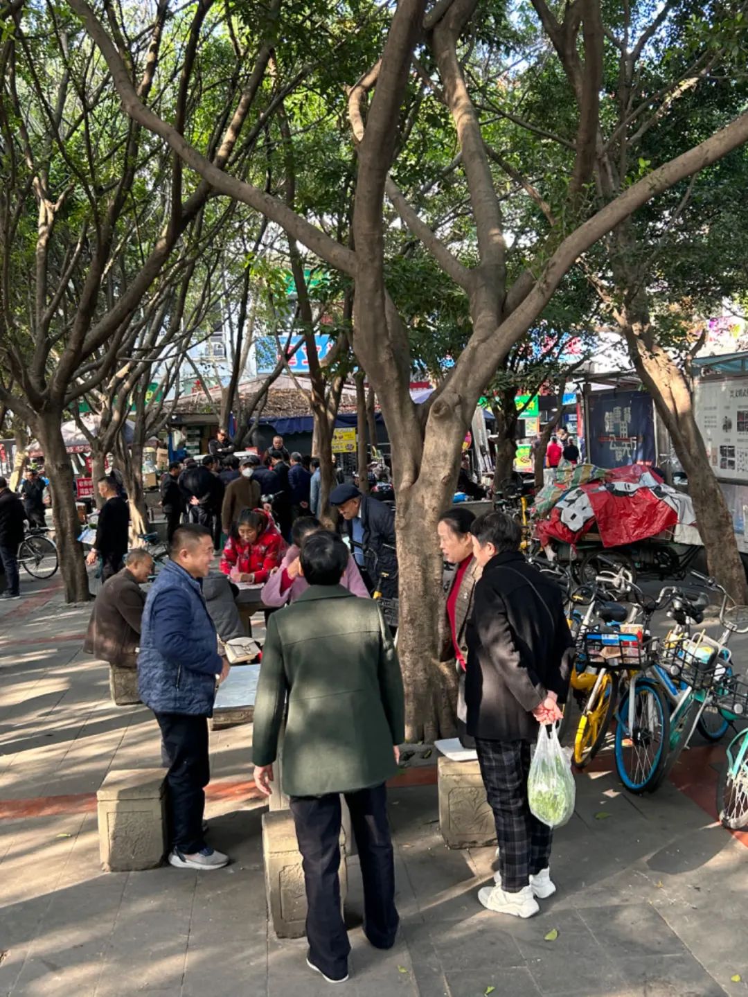 在菜市场的江湖里,找到你的“生态位” 在菜市场的江湖里,找到你的“生态位”