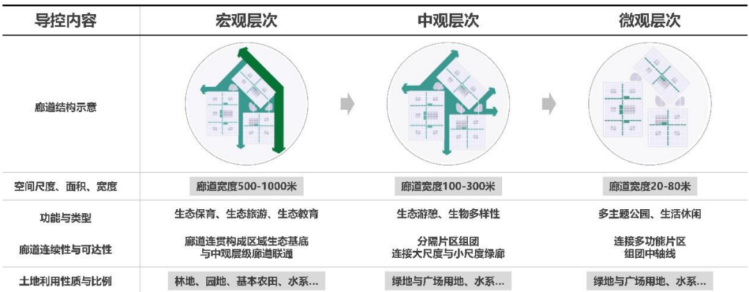 学术采撷 | 年会论文宣读：基于分形理论的穿透式城市设计导控体系研究