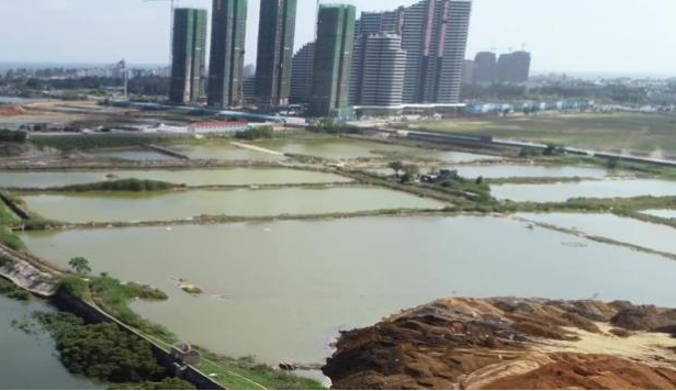 国土空间生态修复典型案例丨陆海统筹，构建海岸带保护治理新格局——广西北海2019年“蓝色海湾”整治行动项目