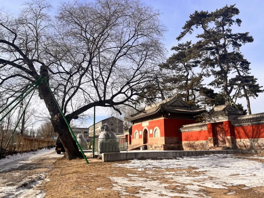遗产视野丨中央美术学院文化遗产协会承德古代建筑考察纪行 遗产视野丨中央美术学院文化遗产协会承德古代建筑考察纪行