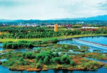河南西峡:点绿成金走出生态富民路-规划问道
