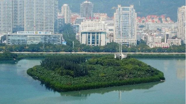 国土空间生态修复典型案例丨从一滩死湖到城市会客厅，筼筜湖生态修复激活城市生态“密码”——厦门筼筜湖生态修复项目