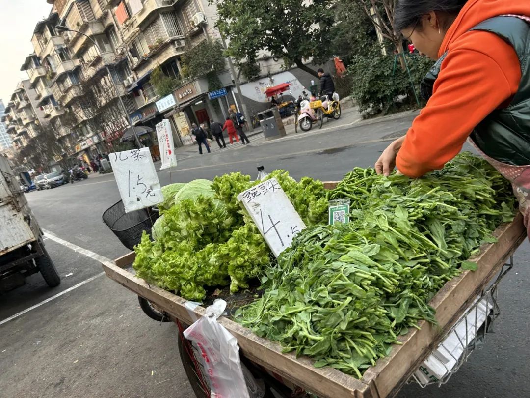 在菜市场的江湖里，找到你的“生态位”