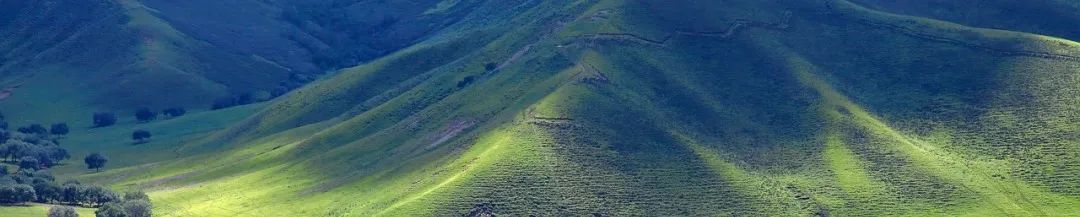 要闻 | 自然资源部办公厅关于按照实地现状认定地类 规范国土调查成果应用的通知 要闻 | 自然资源部办公厅关于按照实地现状认定地类 规范国土调查成果应用的通知