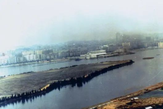 国土空间生态修复典型案例丨从一滩死湖到城市会客厅，筼筜湖生态修复激活城市生态“密码”——厦门筼筜湖生态修复项目