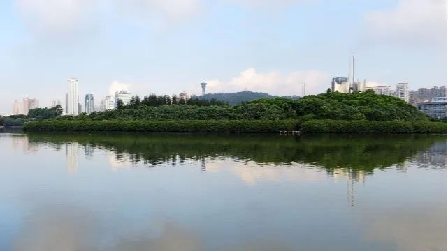 国土空间生态修复典型案例丨从一滩死湖到城市会客厅，筼筜湖生态修复激活城市生态“密码”——厦门筼筜湖生态修复项目