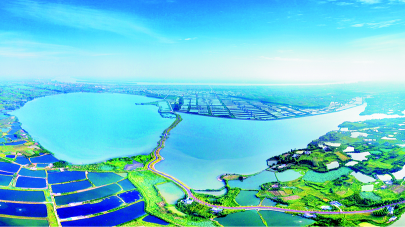 国土空间生态修复典型案例丨湖北省长江三峡地区山水林田湖草生态保护修复工程——枝江市金湖湿地生态修复项目