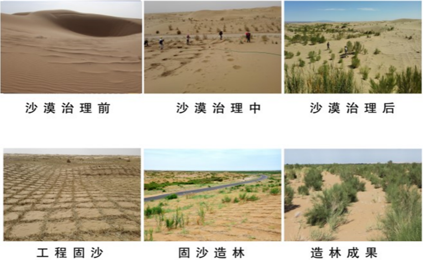 国土空间生态修复典型案例丨乌梁素海流域山水林田湖草生态保护修复工程——乌兰布和沙漠综合治理工程