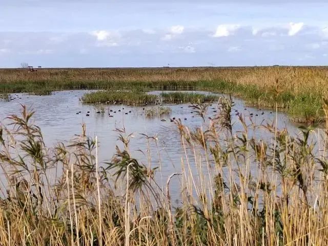 2023自然资源工作答卷之七：厚植善治沃土，切实维护资源资产权益