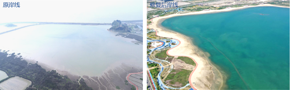 国土空间生态修复典型案例丨浙江台州白沙湾滨海湿地修复项目