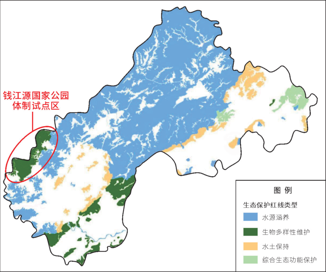 国土空间生态修复典型案例丨浙江钱塘江源头区域生态保护修复项目