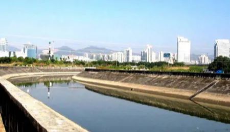 国土空间生态修复典型案例丨近自然修复实现城市湿地与越冬候鸟和谐共生——深圳湾红树林湿地修复项目