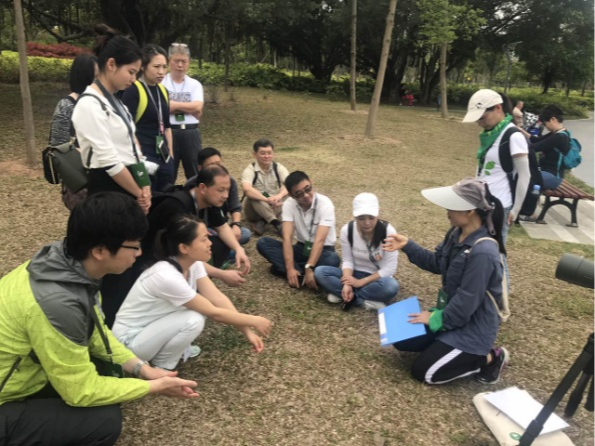 国土空间生态修复典型案例丨近自然修复实现城市湿地与越冬候鸟和谐共生——深圳湾红树林湿地修复项目
