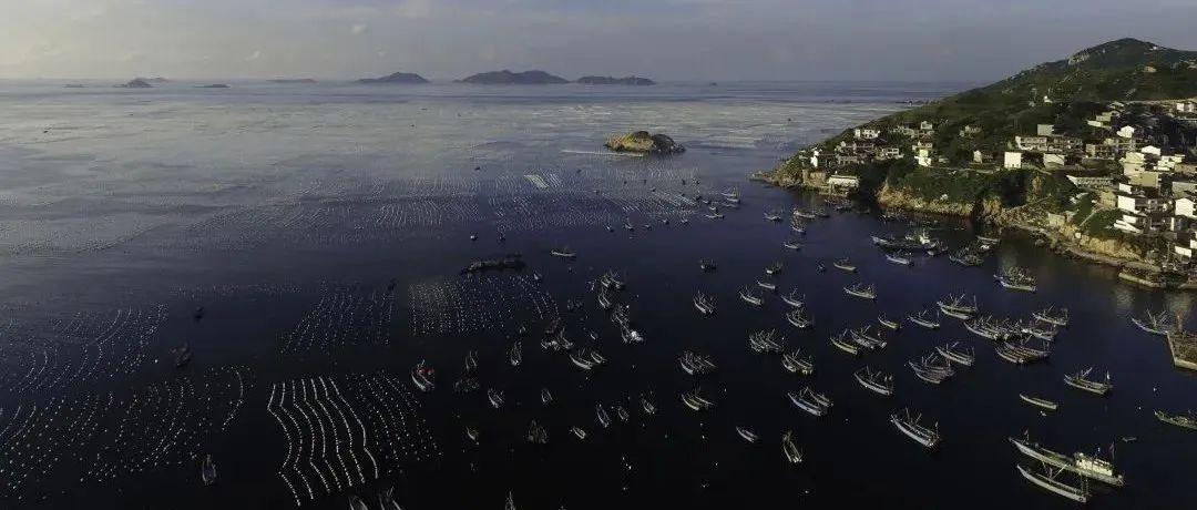 上海暂停新建商业类项目审批,唯土地与明天同在 上海暂停新建商业类项目审批,唯土地与明天同在