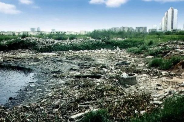国土空间生态修复典型案例丨从一滩死湖到城市会客厅，筼筜湖生态修复激活城市生态“密码”——厦门筼筜湖生态修复项目