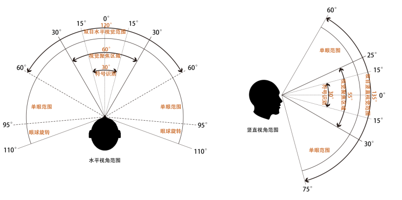 科研创新 | 眼动支持的城市更新 系列3 成都公行道的围墙透绿 科研创新 | 眼动支持的城市更新 系列3 成都公行道的围墙透绿