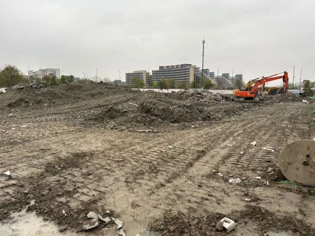市规划资源局滨江分局高质高效完成国土变更调查工作