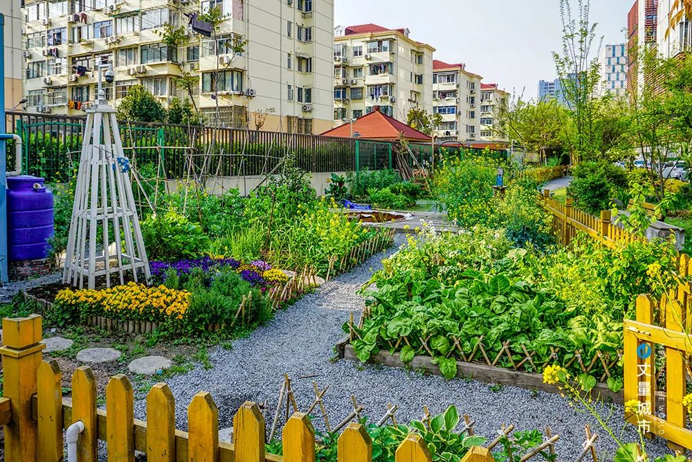 社区商圈2.0，赋能消费中心城市升级