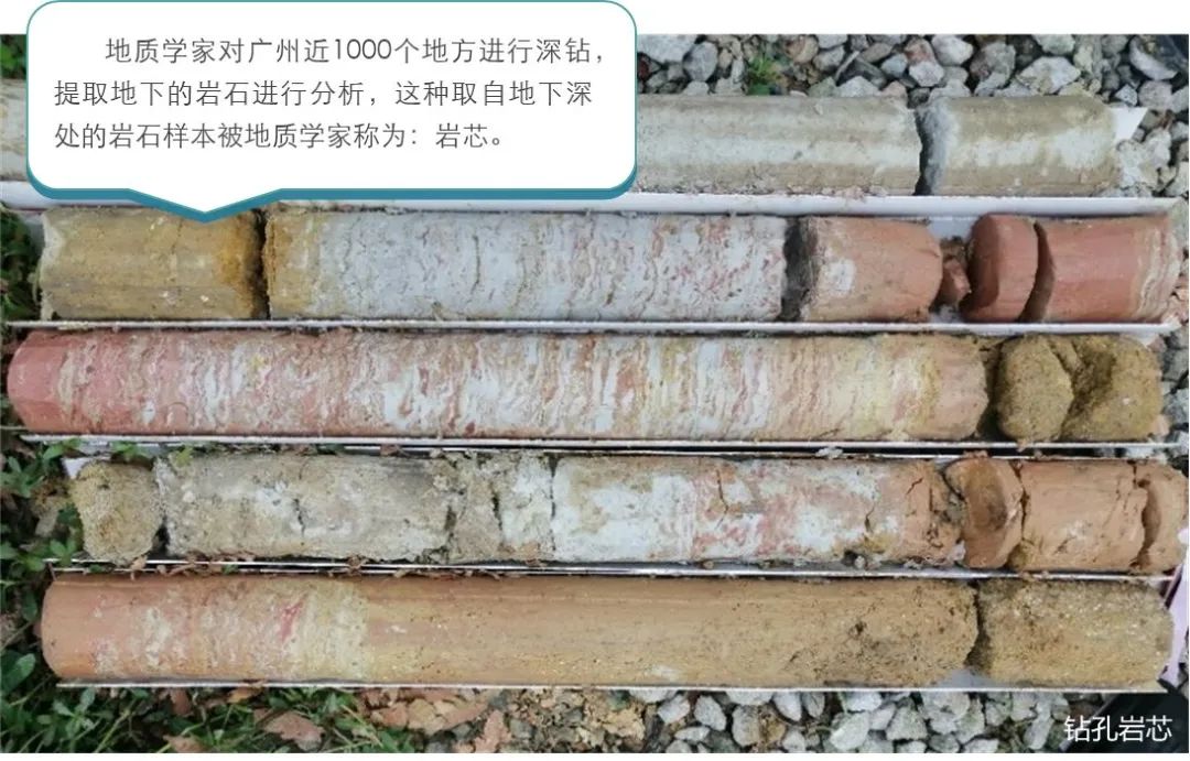 广规好书|人居环境景观院:《藏在地质里的广州》 广规好书|人居环境景观院:《藏在地质里的广州》
