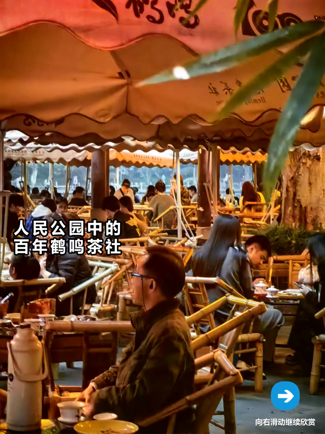 一份有温度的大数据报告！成都人“耍公园”的打开方式丨城市数据派
