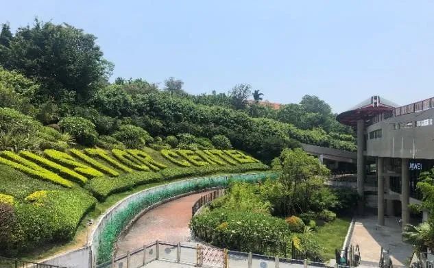 划拨土地:旧城更新的“盲区” 划拨土地:旧城更新的“盲区”
