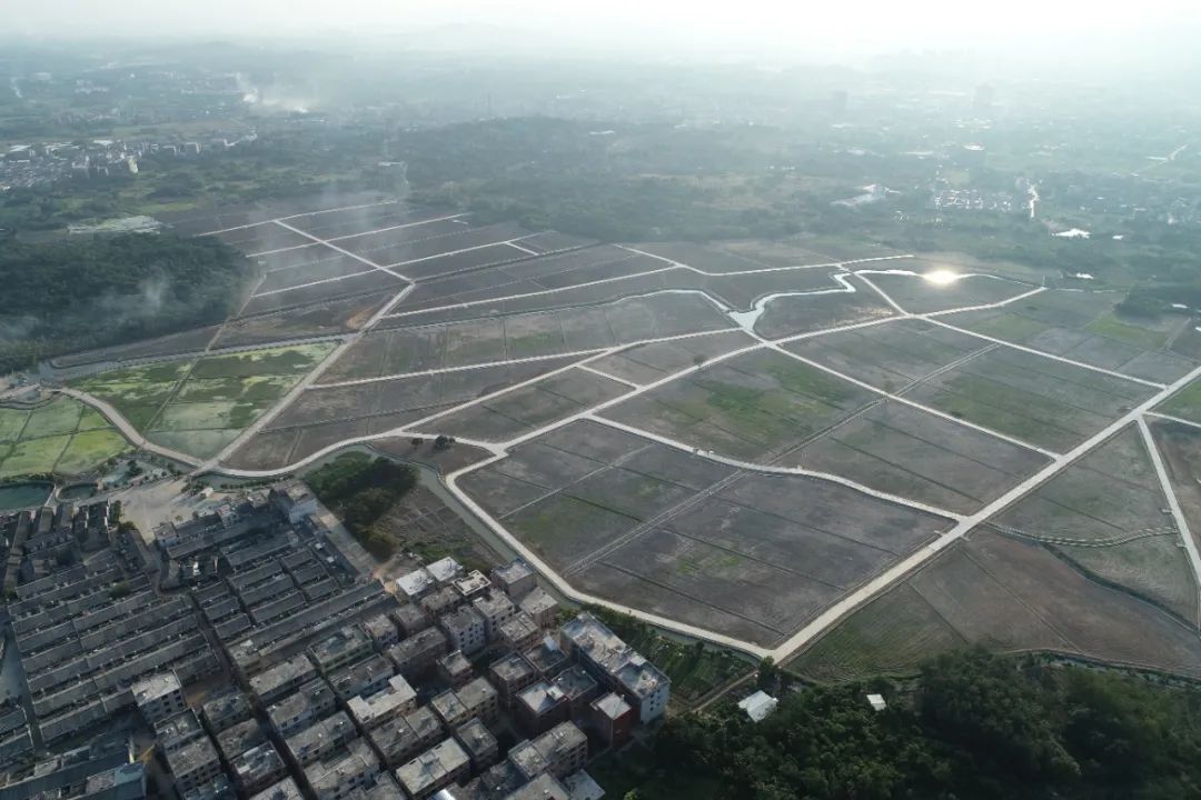 开年首发！“广东自然资源”推介普宁赤岗全域经验