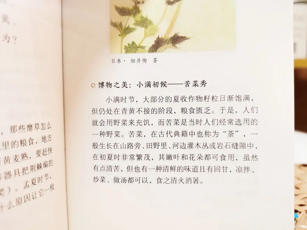 一本中国人才看得懂的日历：一诗一画一风物，柴米油盐藏诗意