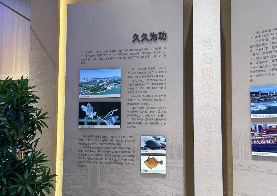 运笔：厦门方法——人海和谐的“厦门实践”调查（四）